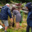 Don showing how it&#039;s done. Cambridge Tree Trust